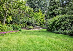 Optimiser l'expérience du jardin à Verneuil-en-Bourbonnais